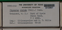 Image Associated With the Occurence